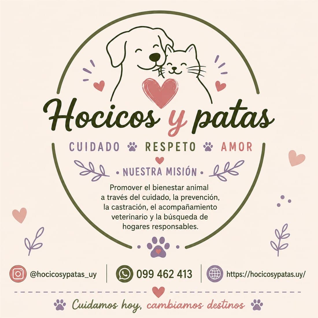 Hocicos y Patas — nuestra misión: promover el bienestar animal a través del cuidado, la prevención, la castración, el acompañamiento veterinario y la búsqueda de hogares responsables.